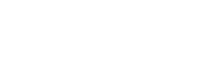 Ostva Logo